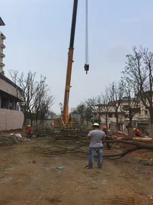 園林施工現場27