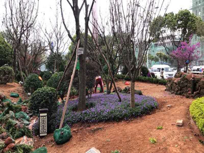 園林施工現(xiàn)場(chǎng)6