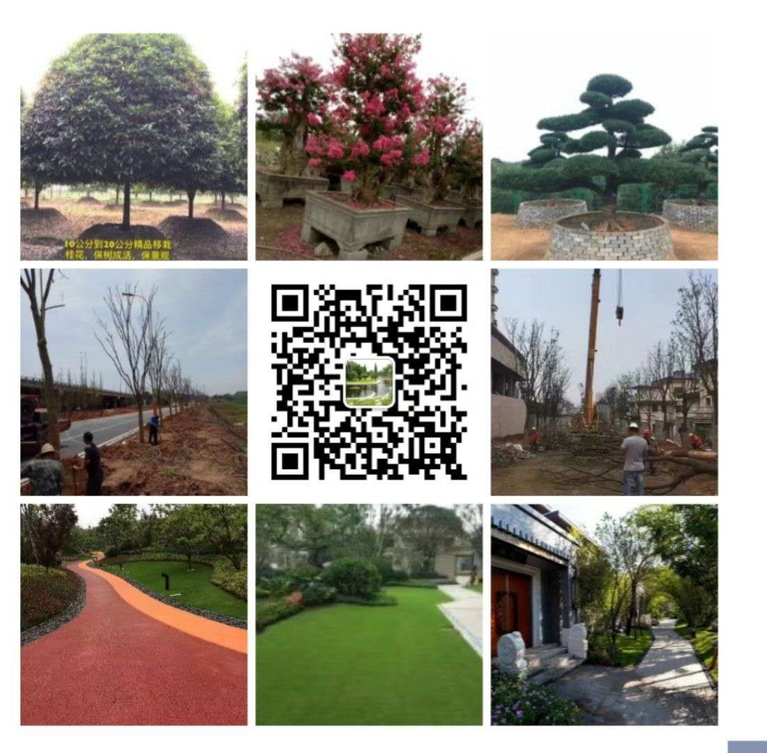 新聞中心 新聞中心