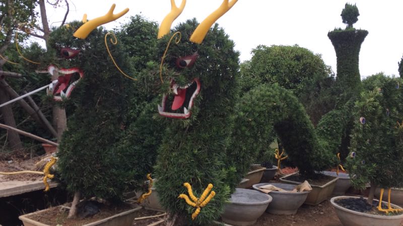 新聞中心 新聞中心