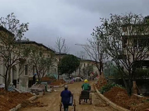 園林綠化工程施工，園林綠化養護，別墅庭院綠化