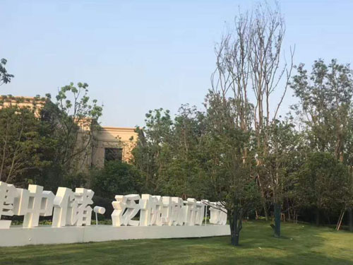 園林綠化工程施工，園林綠化養(yǎng)護，別墅庭院綠化