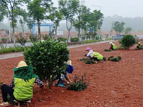 園林綠化工程施工，園林綠化養(yǎng)護，別墅庭院綠化