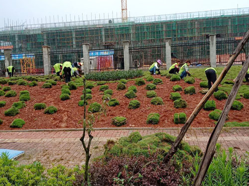 園林綠化工程施工，園林綠化養(yǎng)護，別墅庭院綠化