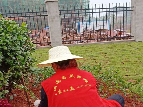 園林綠化工程施工,園林綠化養(yǎng)護,別墅庭院綠化,湖南株洲工業(yè)園區(qū)道路提質改造