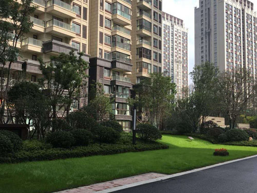 園林綠化工程施工，園林綠化養(yǎng)護(hù)，別墅庭院綠化