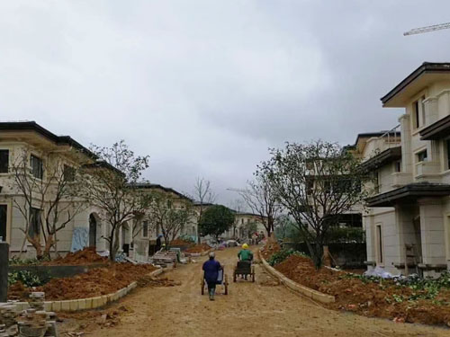 園林綠化工程施工，園林綠化養(yǎng)護，別墅庭院綠化