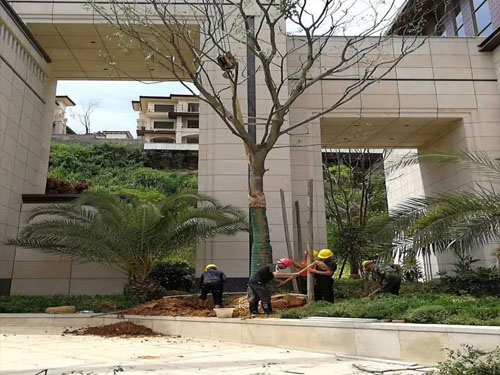 園林綠化工程施工，園林綠化養(yǎng)護，別墅庭院綠化