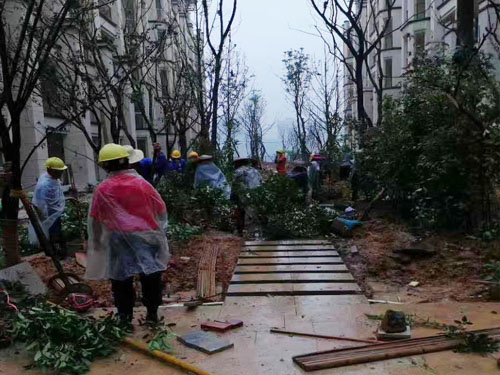 園林綠化工程施工，園林綠化養(yǎng)護，別墅庭院綠化