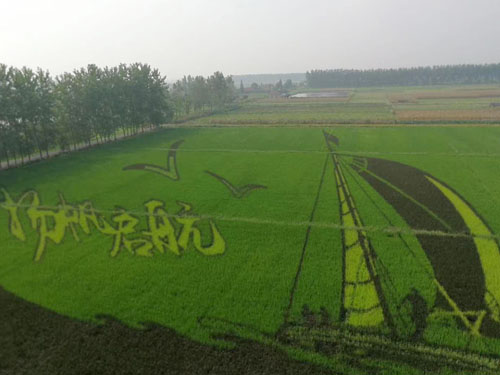 園林綠化工程施工，園林綠化養(yǎng)護(hù)，別墅庭院綠化